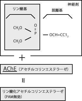 кޤˤ륨󥰡Ϸ